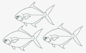 The Fisherman's Secret To Perfectly Cooked Fish - Mahi-mahi #3780876