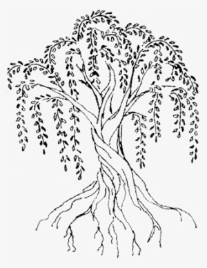 Twisted Willow Soap Co. #3780901