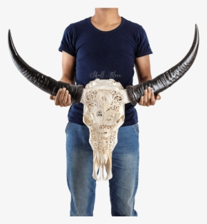 Carved Buffalo Skull - Skull #3781083