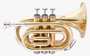 Jp159 Bb Pocket Trumpet Gold Lacquer Cutout #3782564