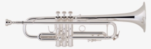 Bach Strad Trumpet Silver Plate Lightweight Body Bell - Vincent Bach Lt180-37 Stradivarius #3782702