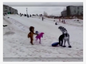 Hombres Disfrazados De Los Personajes De Madagascar - Film #3782871