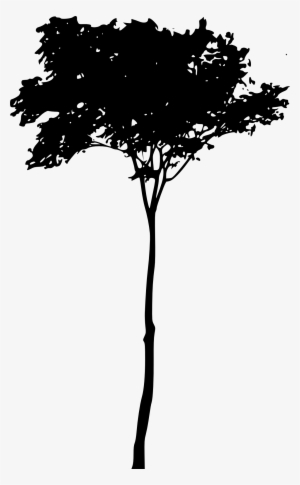 Free Download - Transparent Clip Art Tree Png #3783409