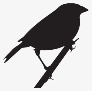 Baird's Sparrow - Grasshopper Sparrow Silhouette #3783431