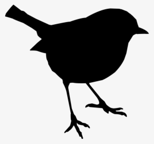 Bird, Stand, Silhouette, Nature, Bird Life - Silhouette Oiseau #3783628 Bird, Stand, Silhouette, Nature, Bird Life - Silhouette Oiseau #3783628