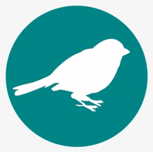 Birds Of Interest By Season - Corporate & Commercial Icon #3783684