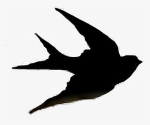 Sparrow Jack Bird Fly Art Nature Sky Pets&animals Anima - Irymple Primary School #3783744