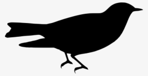 The - Graphics #3783871