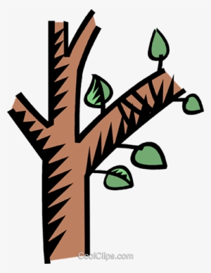Rama De Árbol Libres De Derechos Ilustraciones De Vectores - Bulletin Board In Math #3784171