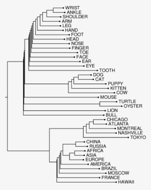 Hierarchical Clustering For Three Noun Classes Using - Diagram #3787959
