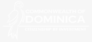 Common Sense Rules Of Bible Study #3788550