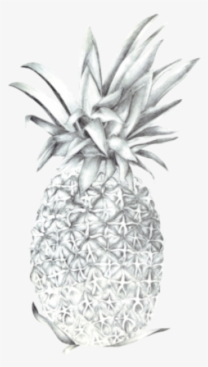 Pineapple #3789308