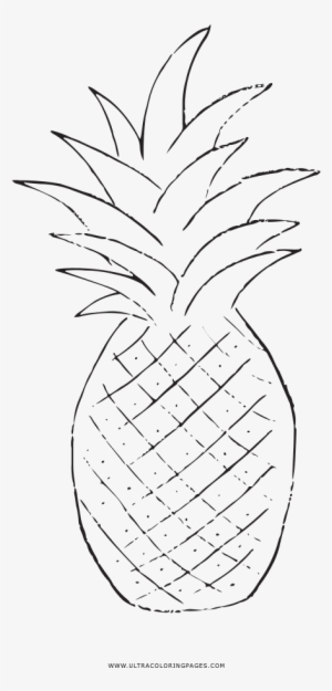 Pineapple Coloring Page - Line Art #3789340