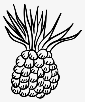 Pineapple Rubber Stamp - Drawing #3789602