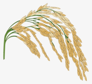 Download - Rice Logo Transparent Background #3791089