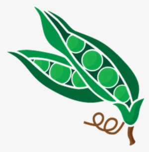 Salad Icon Png - Salad #3791173