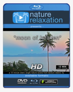 "moon Of Heaven" Tropial Moonrise Relaxation Video - 4k Resolution #3791915