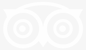 Trip Advisor Icon White Outline #3792194