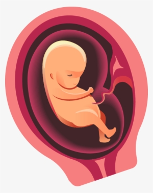 He/she Can Open Their Their Eyes, Move Around, Swallow - Pregnancy #3792462