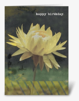 Greeting Card - Sacred Lotus #3792961