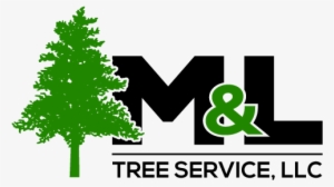 M & L Tree Services - Tree Silhouette Clip Art #3793202 M & L Tree Services - Tree Silhouette Clip Art #3793202