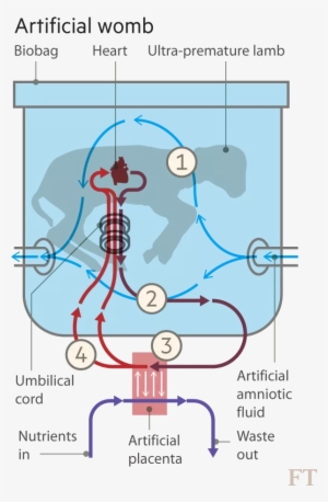 25 Apr - Diagram #3793311