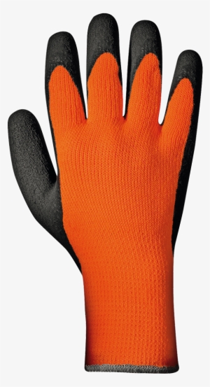Glove #3793461