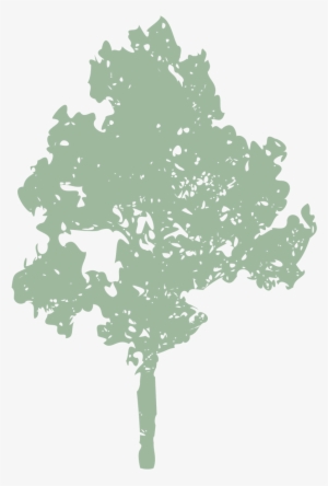 Dead, Dying, Diseased Or Dangerous Trees - Gildan Mens Classic Long Sleeve T-shirt #3793890