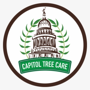 Tree Services - Capitol Tree Care #3793916
