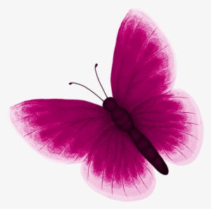 Renki Resimleri - صور جميل #3794160