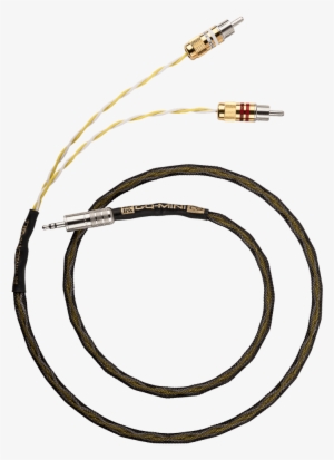 Description - Transfeccion Celular #3794621