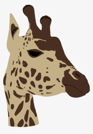 Giraffe Head - Giraffe #3794948