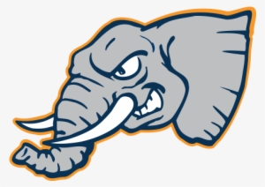 Csu Fullerton Titans - Cal State Fullerton Titans #3795370