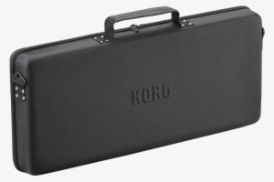 Korg Electribe 2 Case #3795785