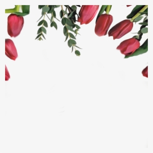 Red Tulips Border On Transparent Background, High Resolution, - High Resolution Border Free #3796135