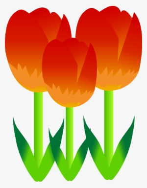 Free Vector Plentiful Tulip - Red Tulips Flower Shower Curtain #3796372
