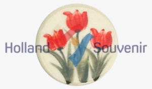 Click On The Image To View Bigger - Tulip #3796520