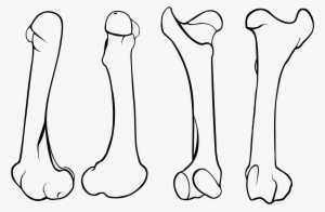 Open - Femur #3797192