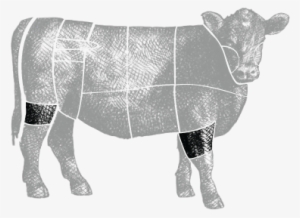 The Femur & Humerus Bones Are Large Bones From The - Beef #3797410