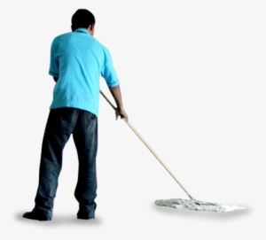 Survey - Everglades #3797726