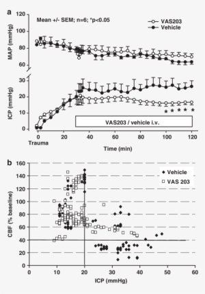 Effect Of Vas203 (i - Document #3798123