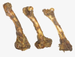 Jones Natural Chews Lamb Femur Bone - Usa Lamb Femur 7-9in #3798562