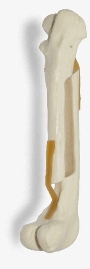 Fancybox - Bone #3798612