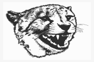 B/w Cheetah 2 - Illustration #3798613