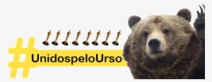 Campanha Para Apoiar O Urso Que Contracenou Com Dicaprio - Bear #3799255