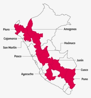 87% Of All Peruvian Coffee Is Grown In The San Martín, - Map #3799442