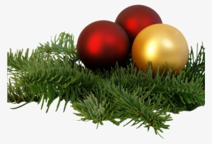 Christmas Branch Png Transparent Image - Free Christmas Decorations Png #3799510