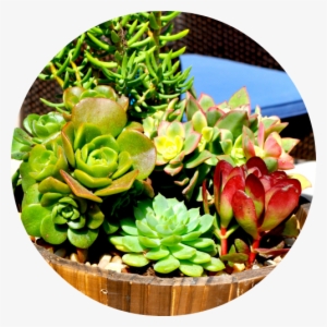 Restaurant & Hotel Arrangements - Artificial Flower #380196