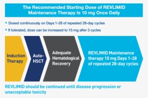 Revlimid Maintenance Therapy Dosing - Lenalidomide - Free Transparent ...