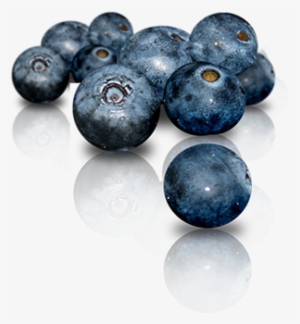 Baies De Maqui #380995